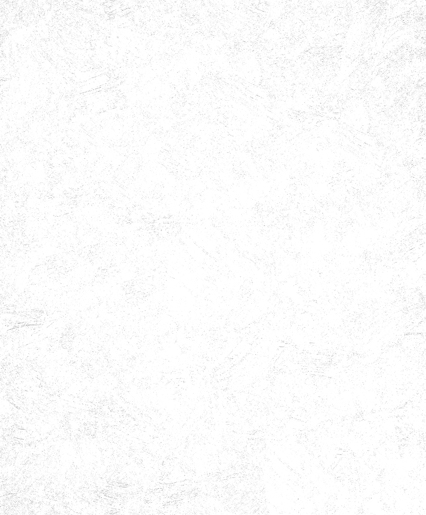 Marburger Tapete 2216 25,00 x 0,75 m Patent Express 2088 / MPlus